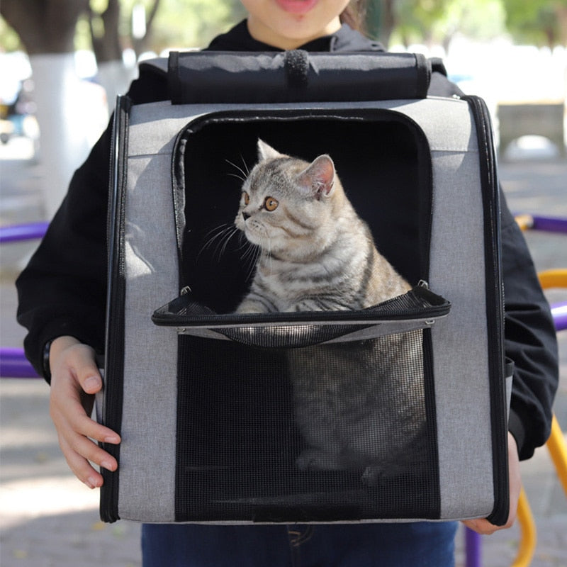 Bulle à Chat de Transport