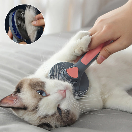 Brosse à Poils pour Chat